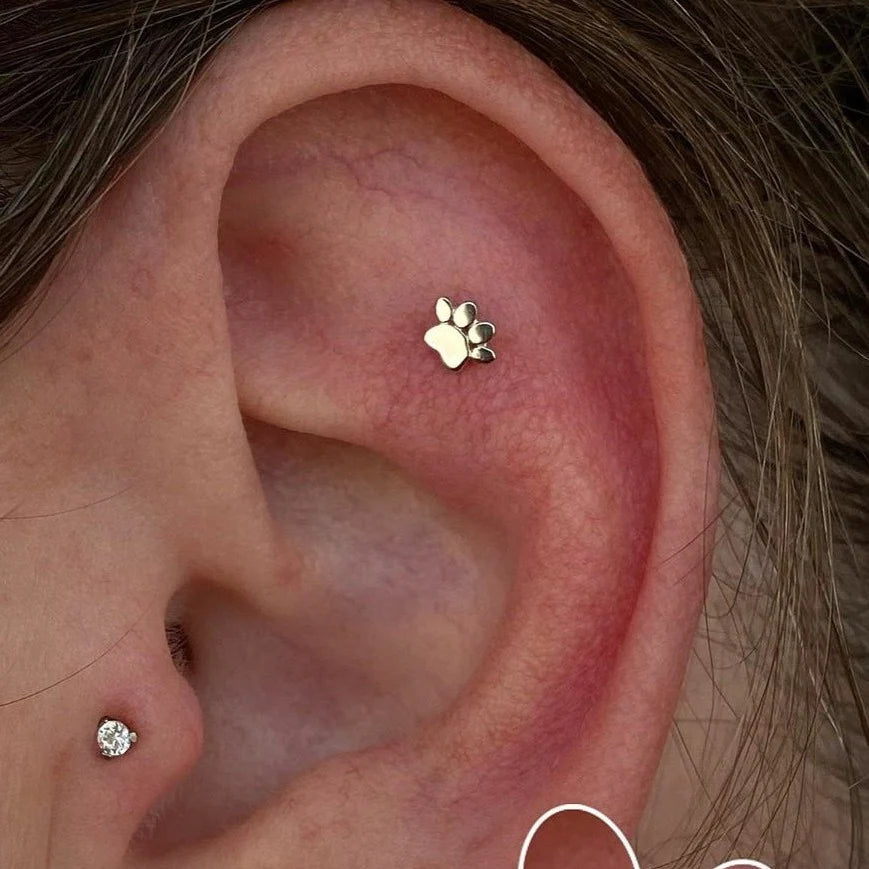 SOLID GOLD DOG PAW-14K GOLD piercing-zone.com