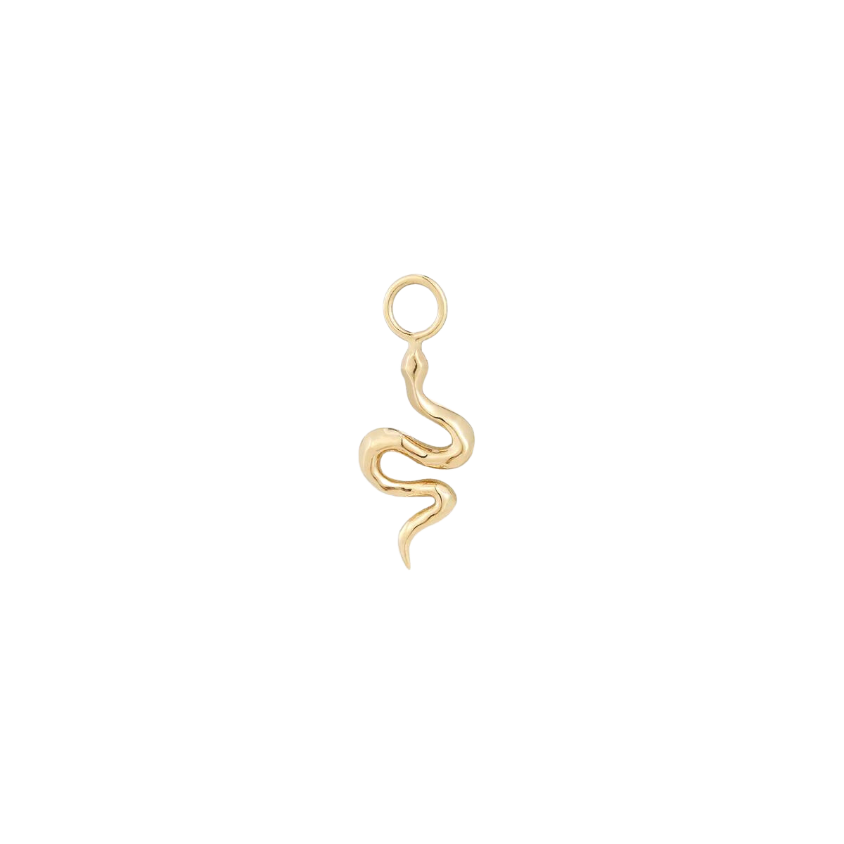 Serpent - Charm
